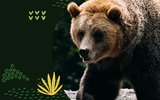 Let's Celebrate World Animal Day and Help the Animals Together!