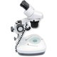 Microscopio Binocular ZTX-20-C2  (20x; 2x/4x)